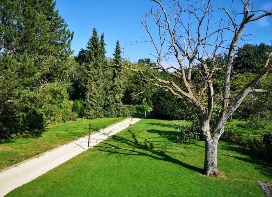 Ferienwohnung Apartment Doppelzimmer In Der Villa Naturpark Rheinblick, Ruhig, Aussicht, Pool Кобленц Экстерьер фото